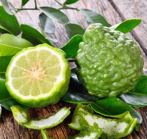 Bergamot Essential Oil - Citrus bergamia